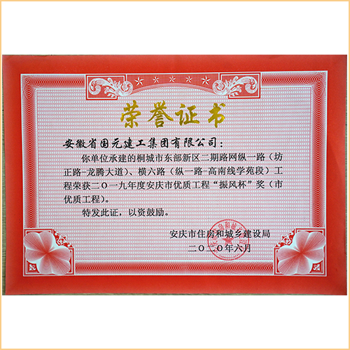 2019桐城市東部新區(qū)二期路網(wǎng)縱一路（坊正路-龍騰大道）、橫六路（縱一路-高南線(xiàn)學(xué)苑段）振風(fēng)杯 